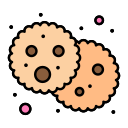 cookie